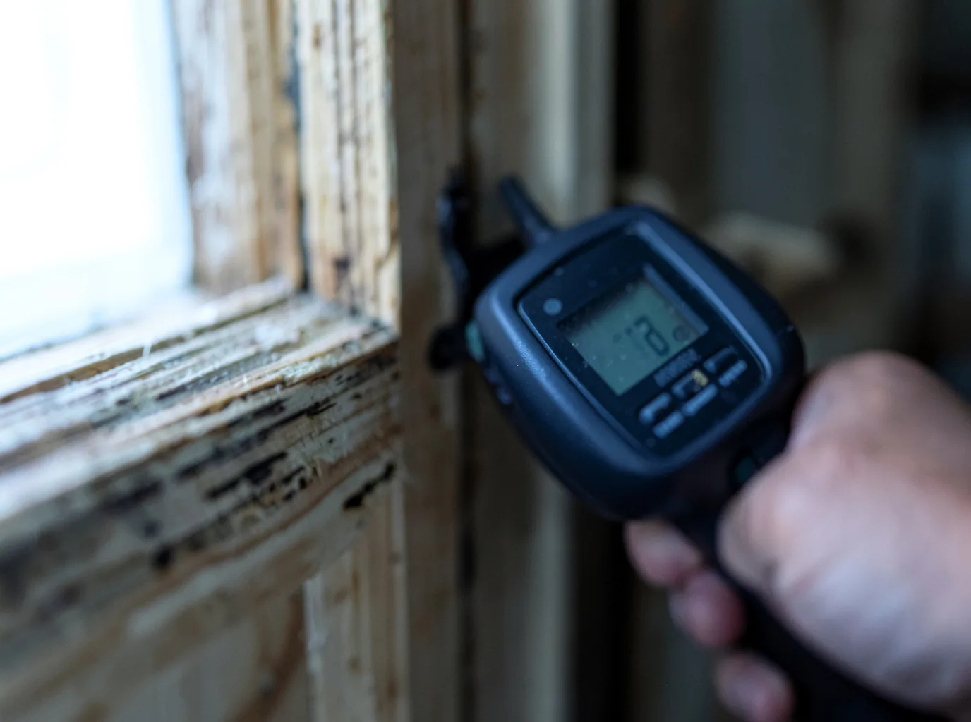 Moisture Inspection And Documentation in Hadley, MA